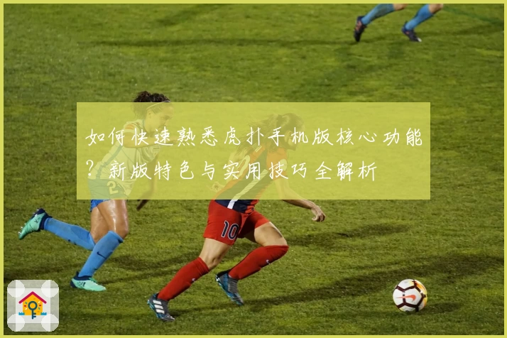 如何快速熟悉虎扑手机版核心功能？新版特色与实用技巧全解析