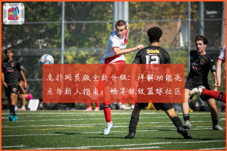 虎扑网页版全新升级：详解功能亮点与新人指南，畅享极致篮球社区体验