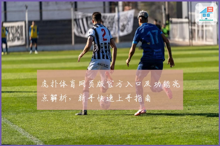 虎扑体育网页版官方入口及功能亮点解析，新手快速上手指南