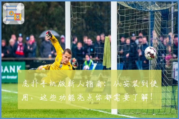 虎扑手机版新人指南：从安装到使用，这些功能亮点你都需要了解！